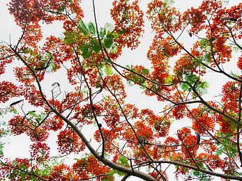 《暗黑破坏神2》11年后将首次发布职业平衡性更新